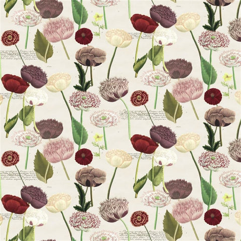 Poppy Study Violet Fabric