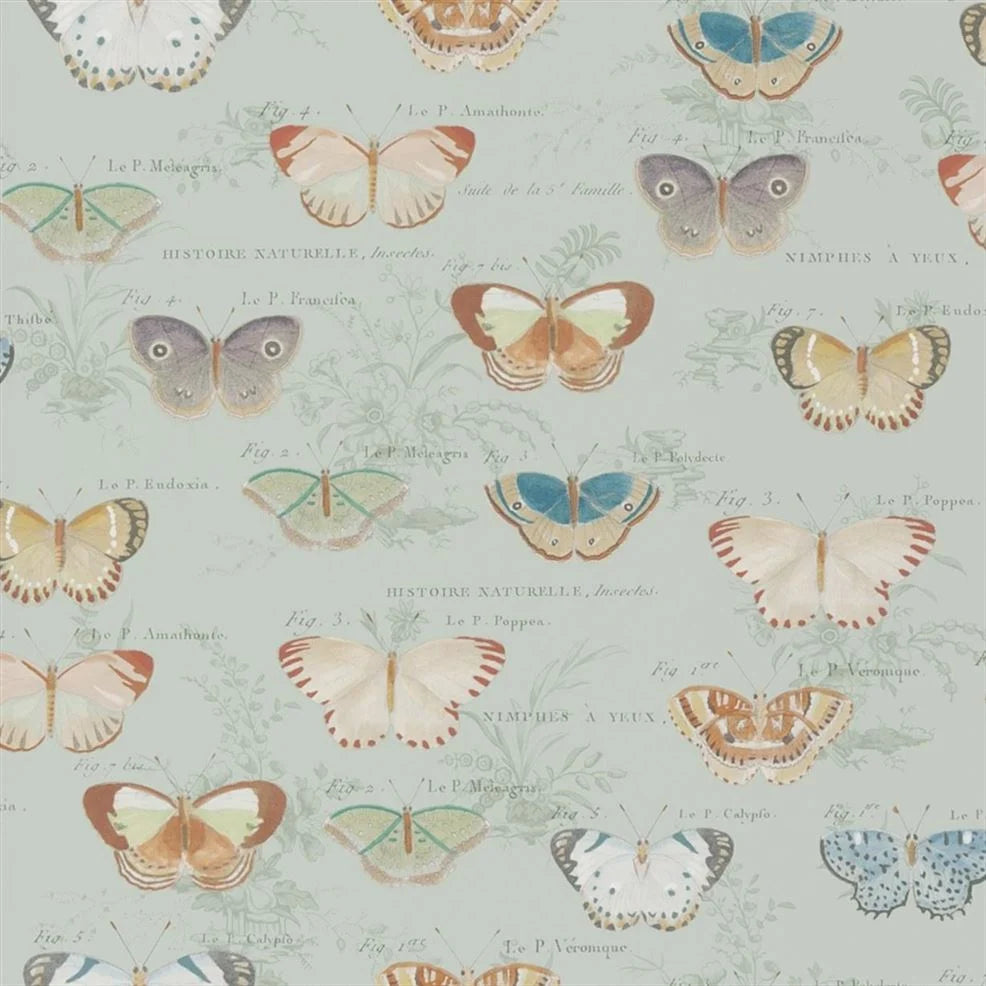 Butterfly Studies Eau de Nil Wallpaper