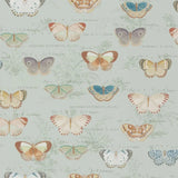 Butterfly Studies Eau de Nil Wallpaper