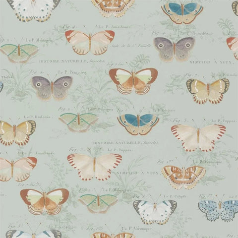 Butterfly Studies Eau de Nil Wallpaper