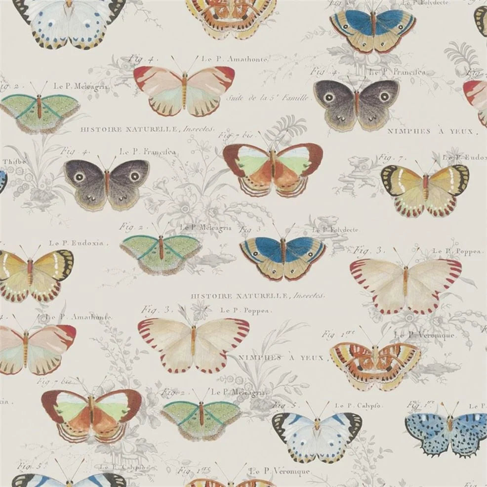 Butterfly Studies Parchment Wallpaper