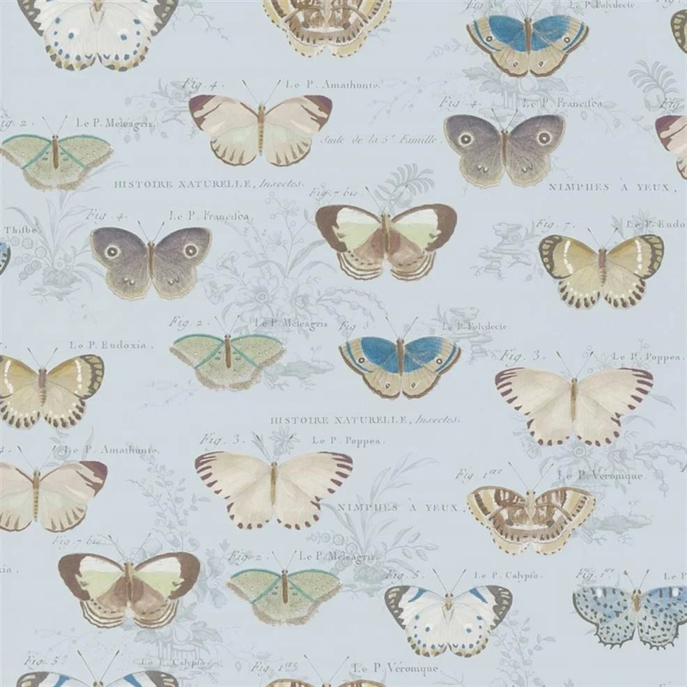 Butterfly Studies Cloud Blue Wallpaper