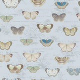 Butterfly Studies Cloud Blue Wallpaper