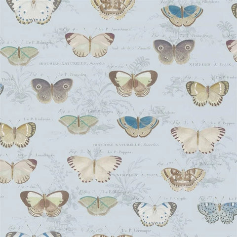 Butterfly Studies Cloud Blue Wallpaper