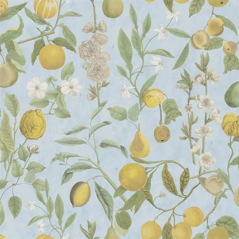Orchard Fruits Sky Blue Wallpaper