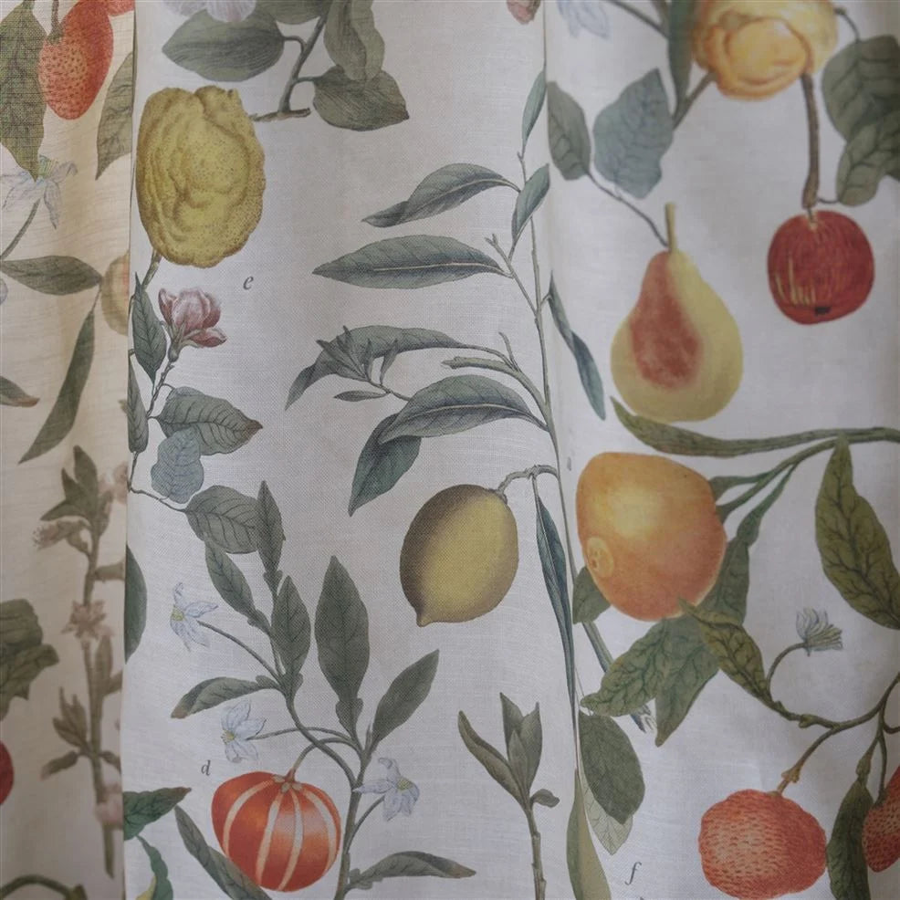 Orchard Fruits Parchment Fabric
