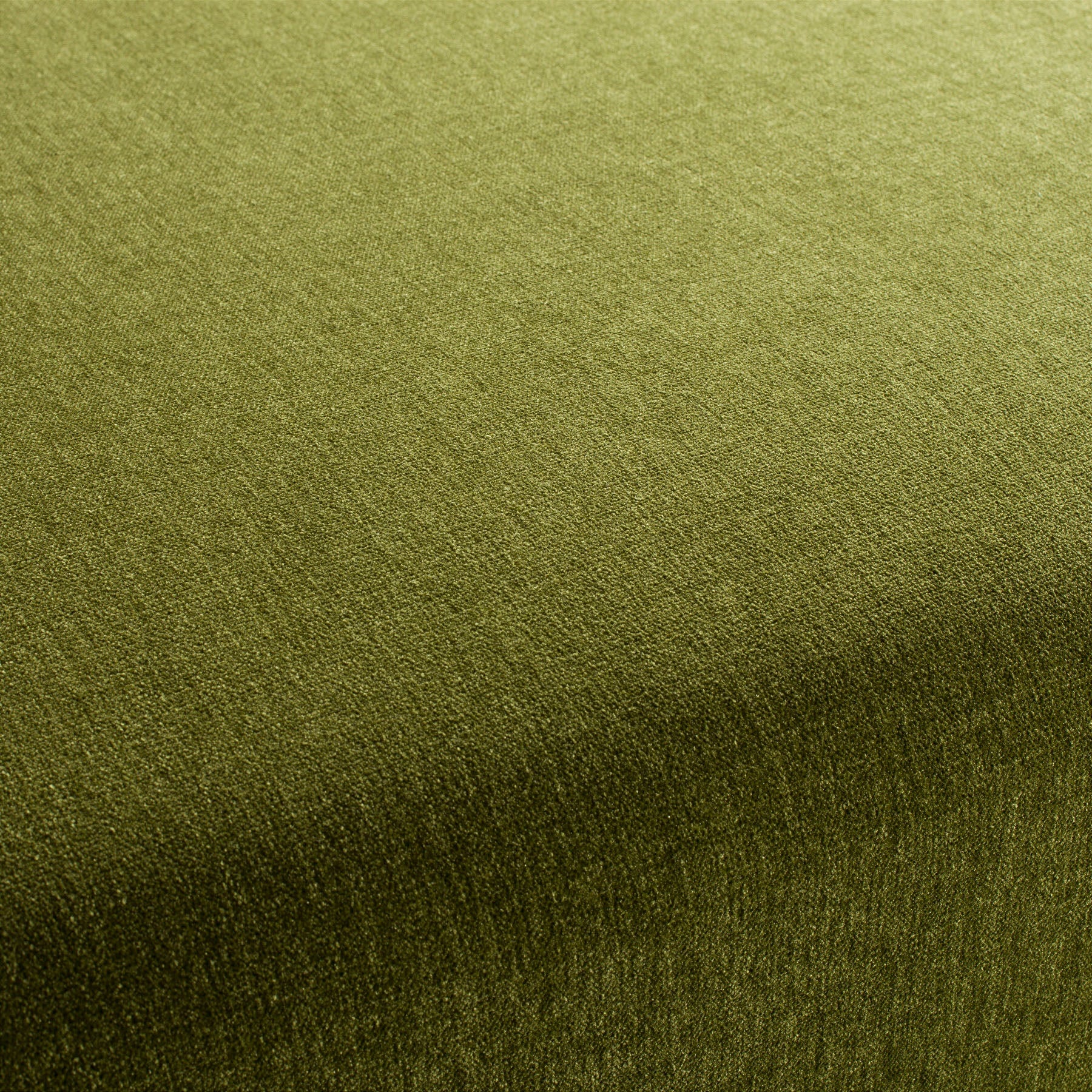 Chenillo 1-1281-036 Fabric
