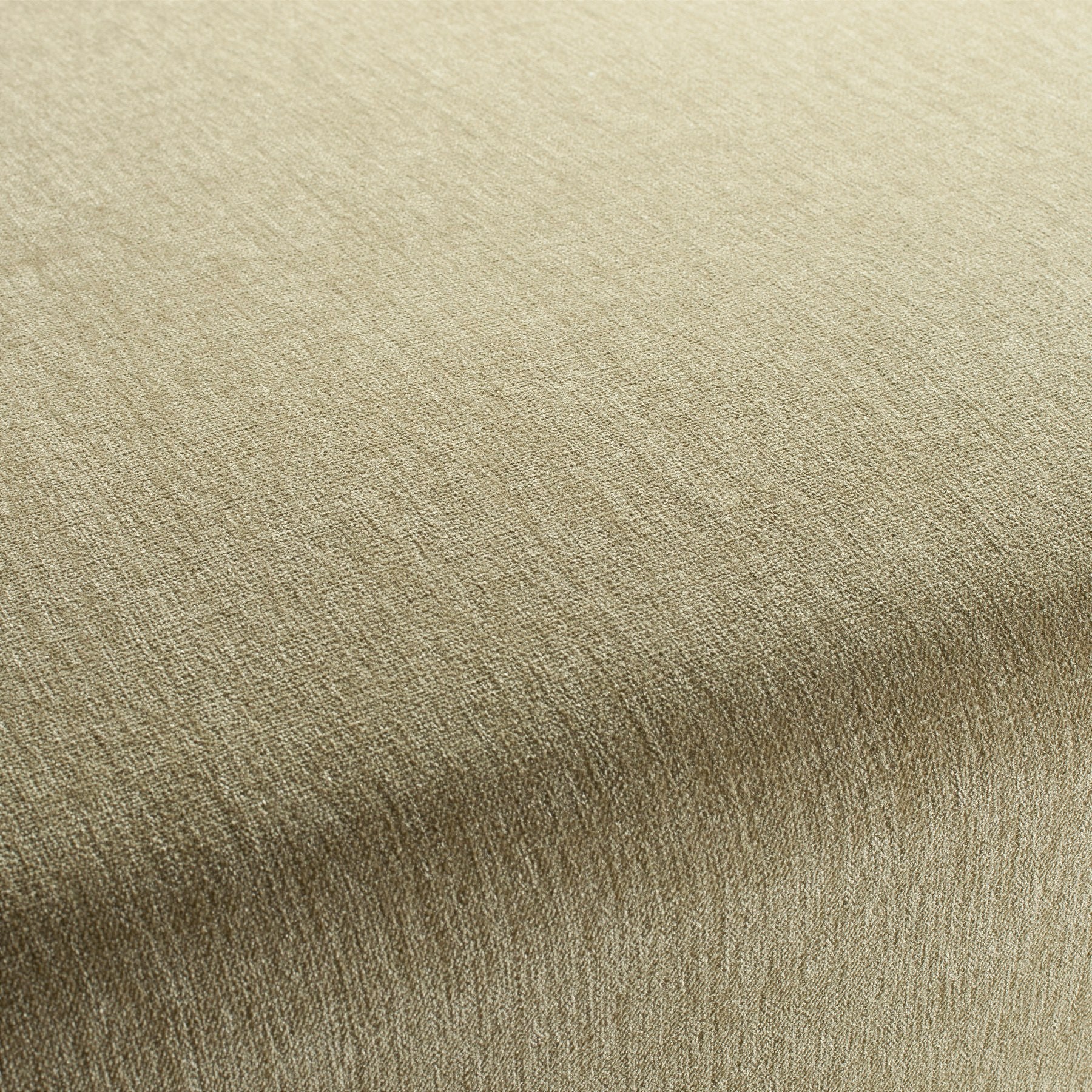 Chenillo 1-1281-037 Fabric