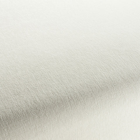 Chenillo 1-1281-071 Fabric
