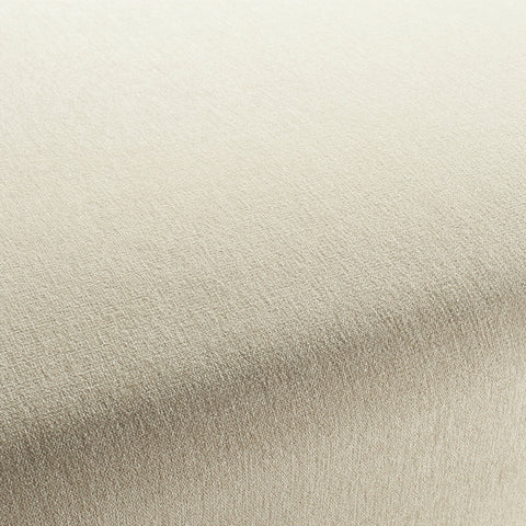 Chenillo 1-1281-072 Fabric