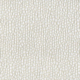 Denver Ivory TB048-270 Fabric