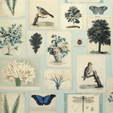 Flora & Fauna Cloud Blue PJD6002/02 Wallpaper