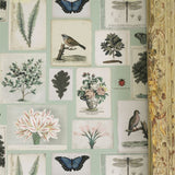Flora & Fauna Parchment PJD6002/01 Wallpaper