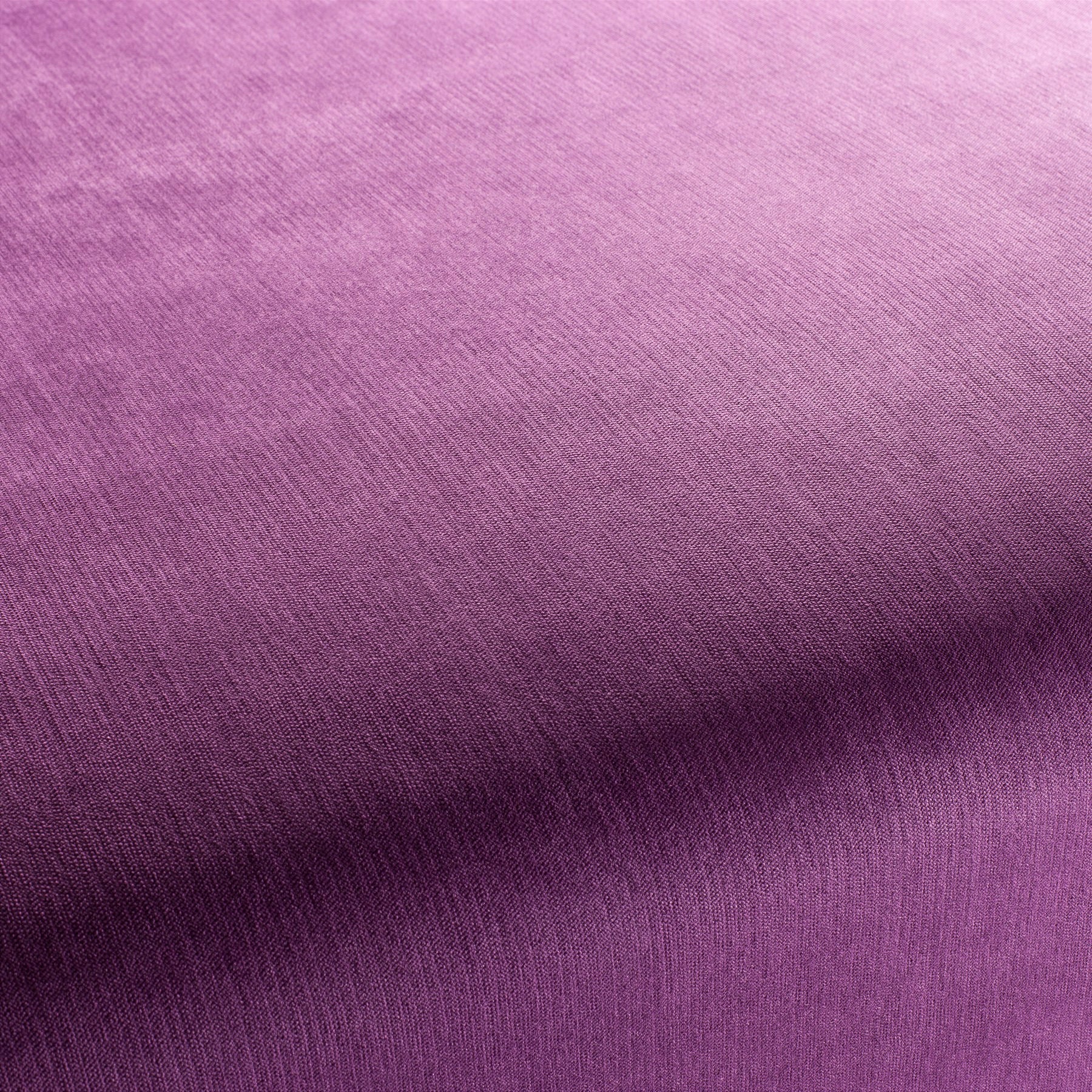 Bo CH2885/085 Fabric