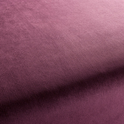 Bo CH2885/086 Fabric