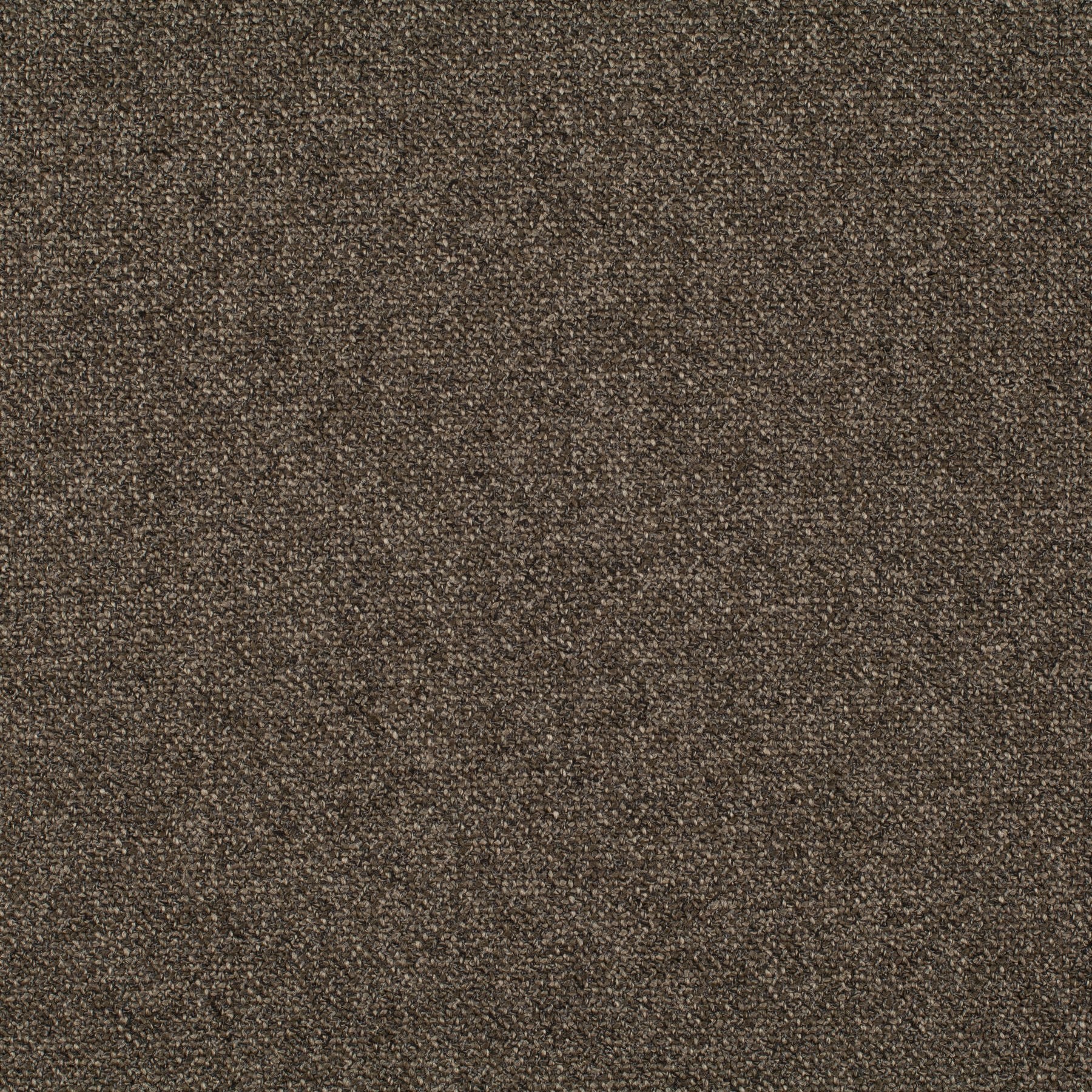 Bonsai CH2955-021 Fabric