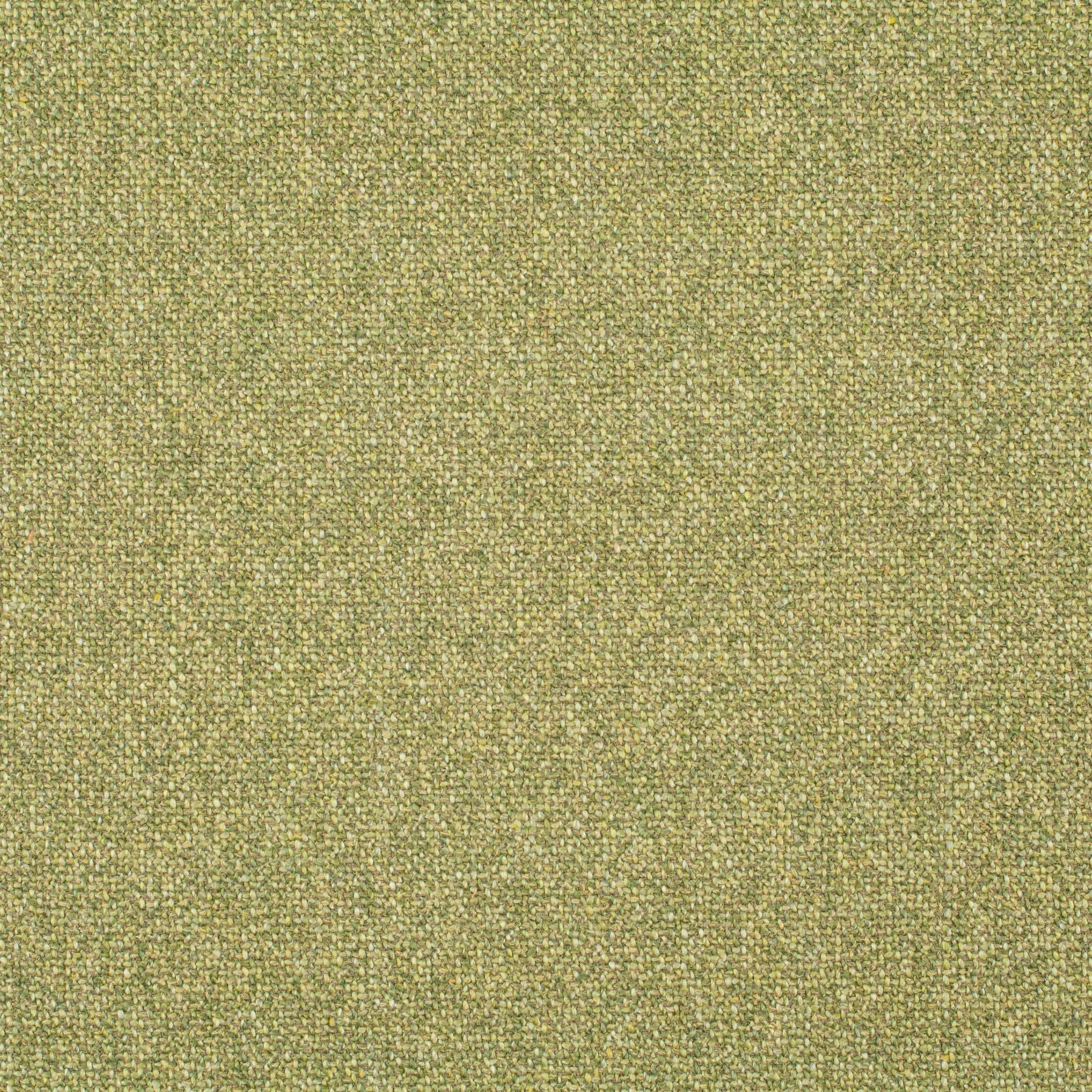 Bonsai CH2955-030 Fabric