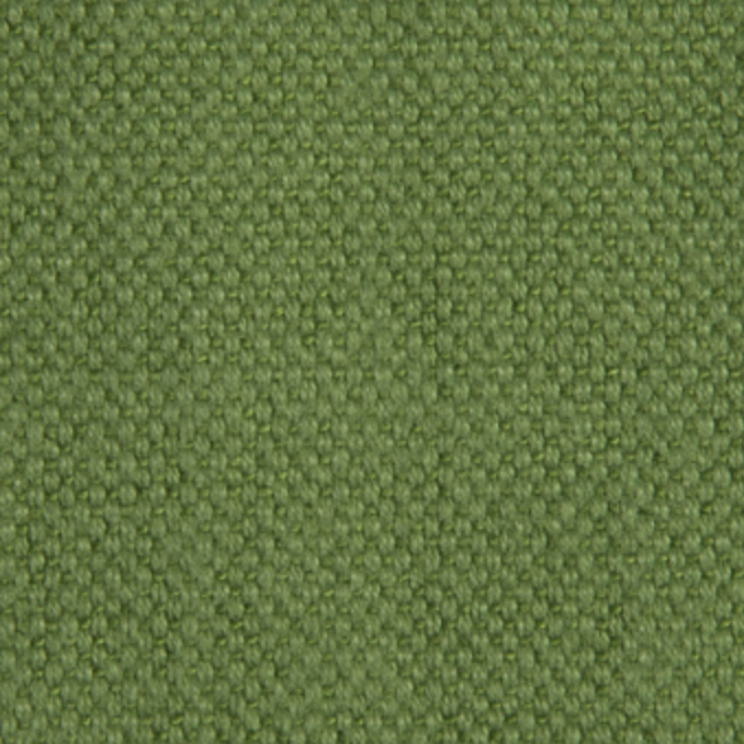 Carry 24 Green Fabric