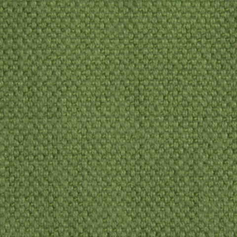 Carry 24 Green Fabric