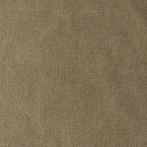 Simplicity Camel Fabric
