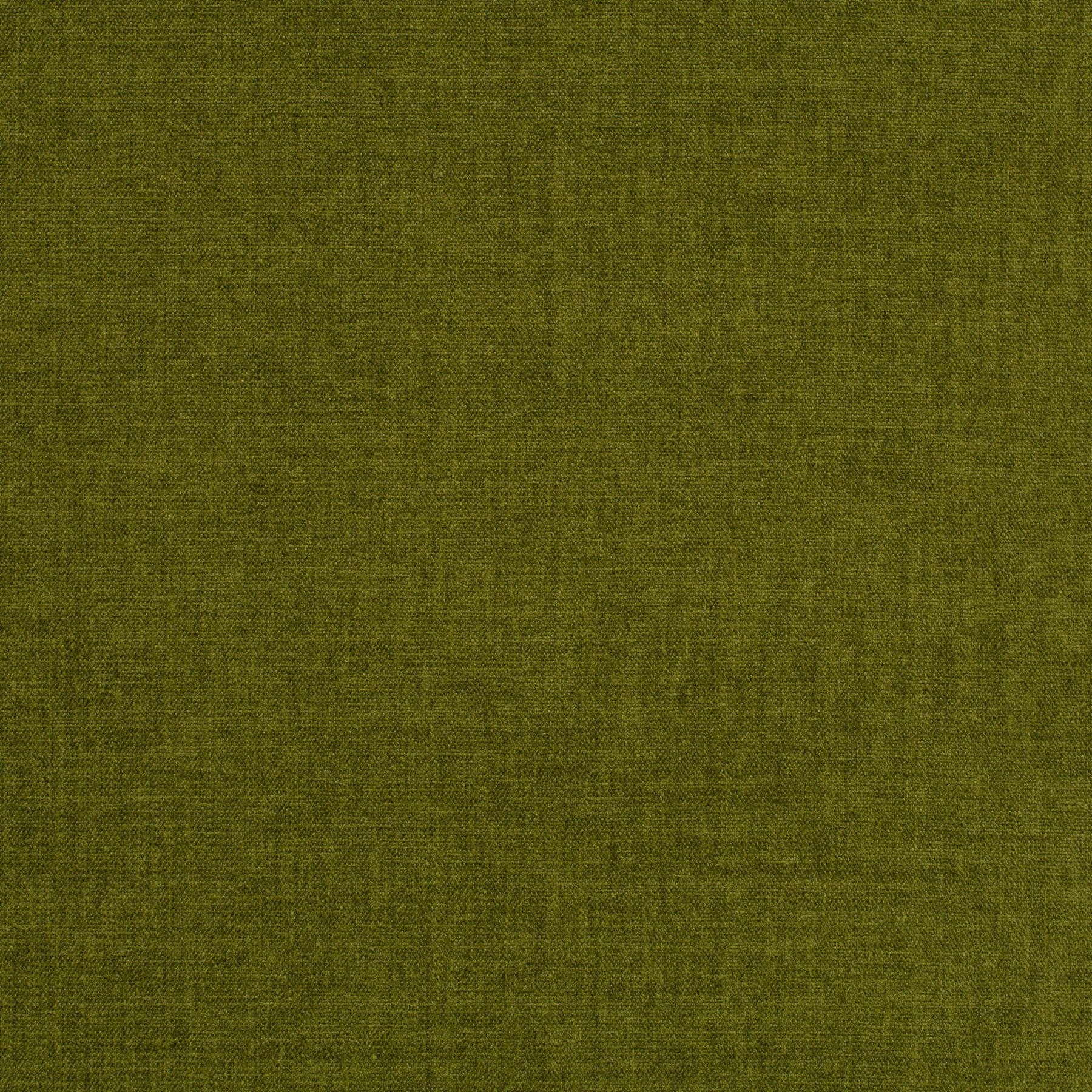 Chenillo 1-1281-036 Fabric