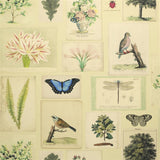 Flora & Fauna Parchment PJD6002/01 Wallpaper