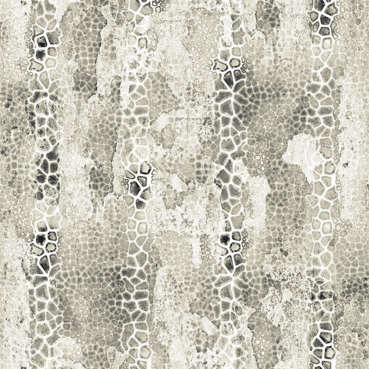 Giraffa B RC16207 Wallpaper